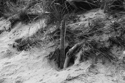 Plum Beach Photography