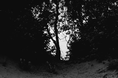 Plum Beach Photography