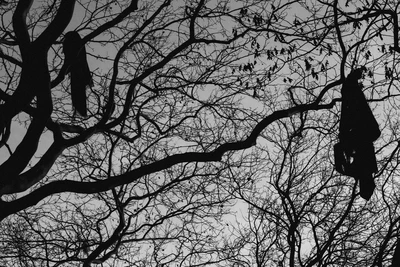 Specters Photography
