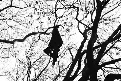 Specters Photography